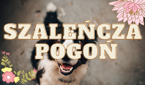 Szaleńcza pogoń. ~ część 1