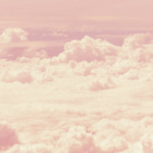 koniareczka_babeczka