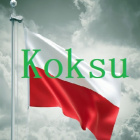 ._PolskiKoks_.