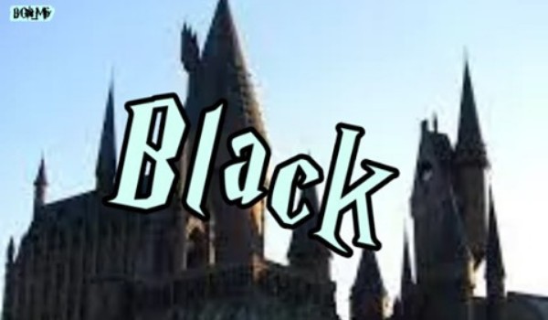 Black | szlaban
