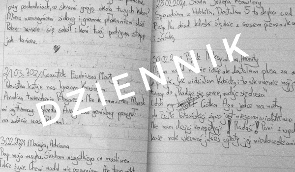 Dziennik-17