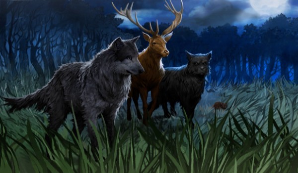 Talksy Hogwart- kamień i makaroni