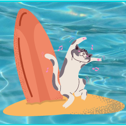 Surfujacy_kot