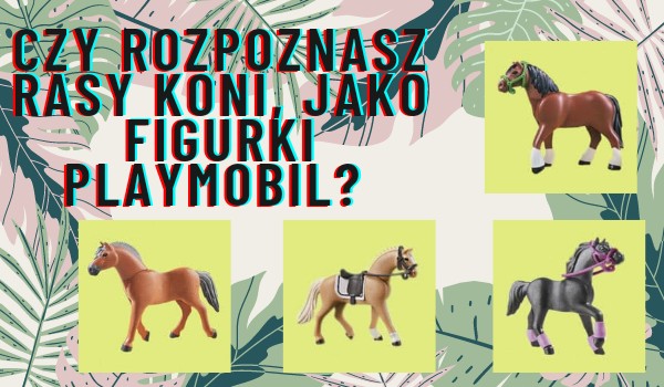Czy potrafisz rozpoznać rasy koni, jako figurki Playmobil?