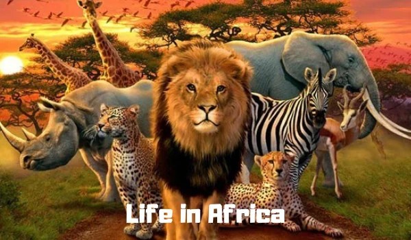 Life in Africa!