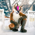 Furry_Fox9