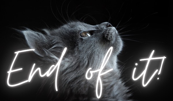 End of it! – PROLOG- Zakończenie „On four paws”