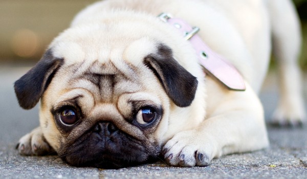 quiz o mnie dla radka