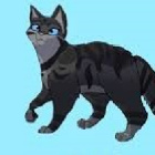 Rozzarzona_Skora_WOJOWNICY