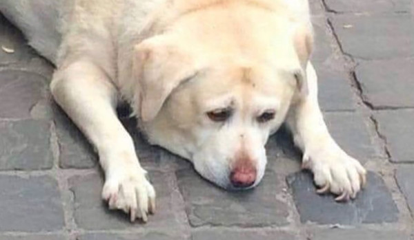 Mini quiz – „Zawiść”