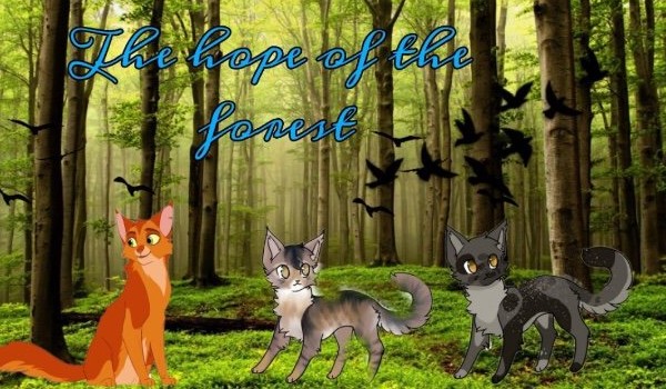 Hope of the forest|rozdział 6