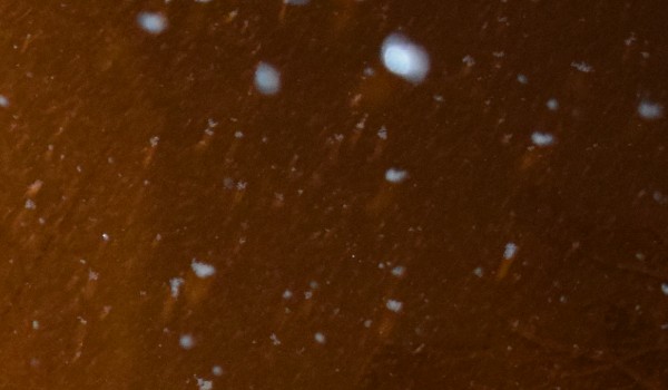 Czy spotkamy się w piątek?