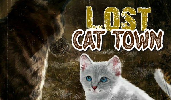 The Lost Cat Town – Chapter one