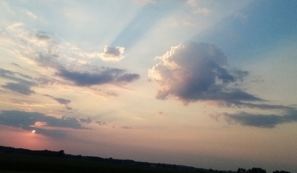 Jesteś głupi czy mądry?