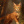 Warrior_cats.