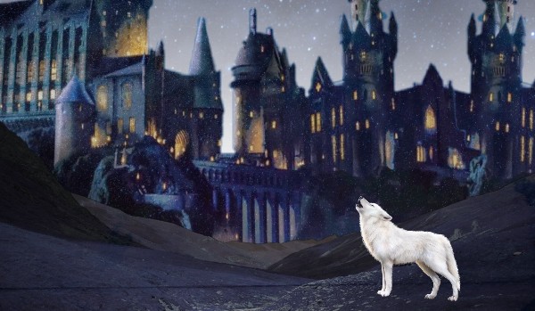 Pani Żywiołów ☆