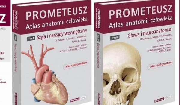 Jakim atlasem do anatomii jesteś?