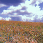pateex34