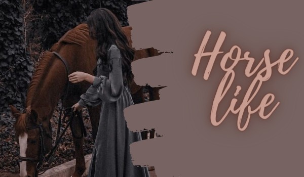 Horse life — rozdział 3 —