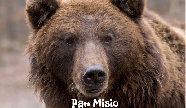 Pan Misio