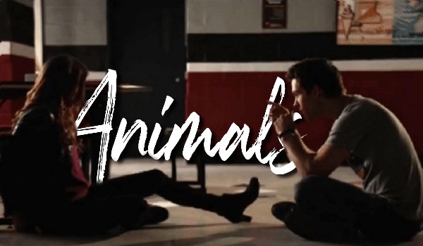 Animals — introduction