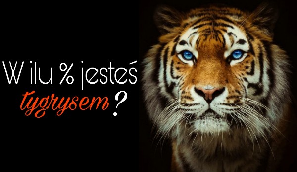 W ilu %- ach jesteś tygrysem?