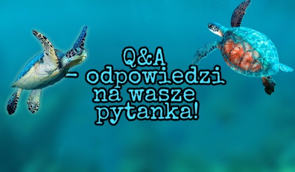 Q&A – odpowiedzi na wasze pytania!