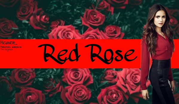 Red rose #08