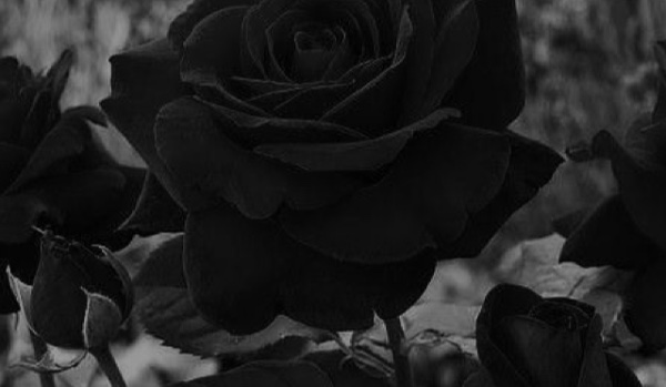 Black roses