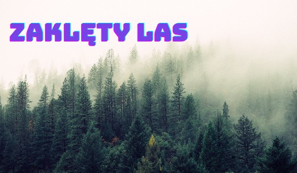 Zaklęty las |rozdział 2|