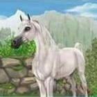 Royal_Friends_House