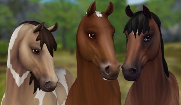 Jak w rzeczywistości wyglądał by Twój koń początkowy ze Star Stable?