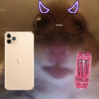 hamster123