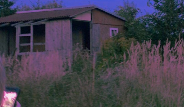 Jak dobrze znasz tysie