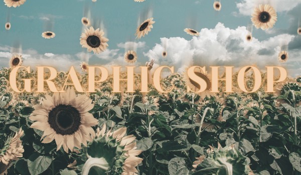 Graphic Shop #2