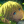 The_clover_400