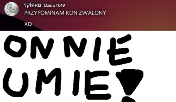 Czy splayuu jest pierdolnięty