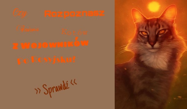 Czy rozpoznasz imiona kotów z Wojowników po Rosyjsku?
