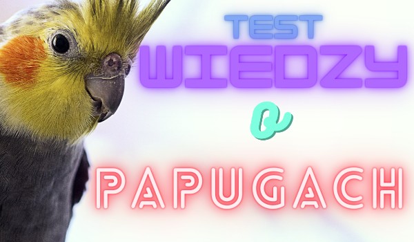 Test wiedzy o papugach!