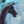 WerAA_Horse