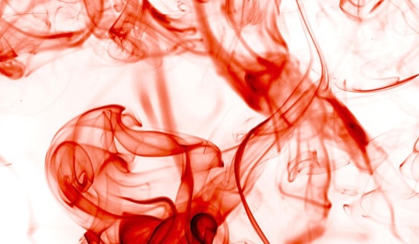 Transport u zwierząt