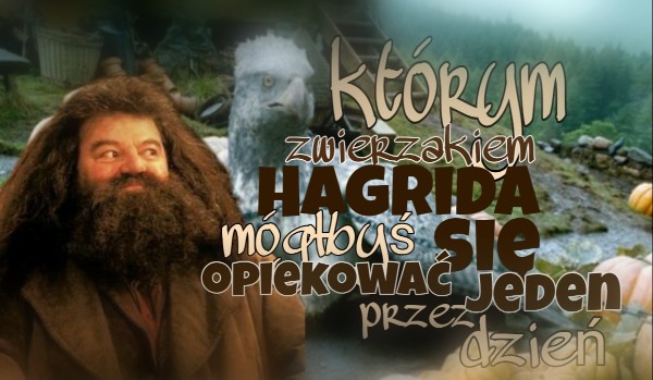 Którym zwierzakiem Hagrida mógłbyś się opiekować przez jeden dzień?