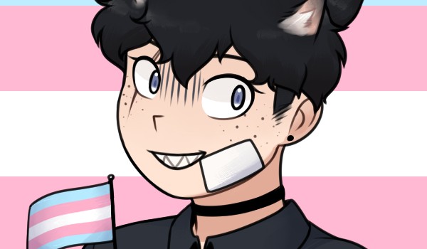 co wiesz o NICOLASKU?