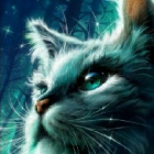 Bursztynowy_Zmierzch