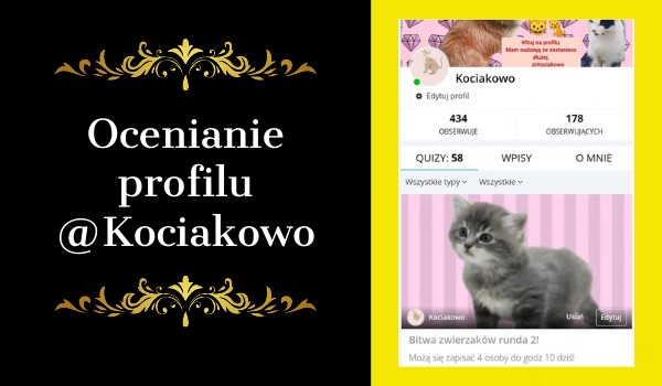 Ocenianie profilu @Kociakowo
