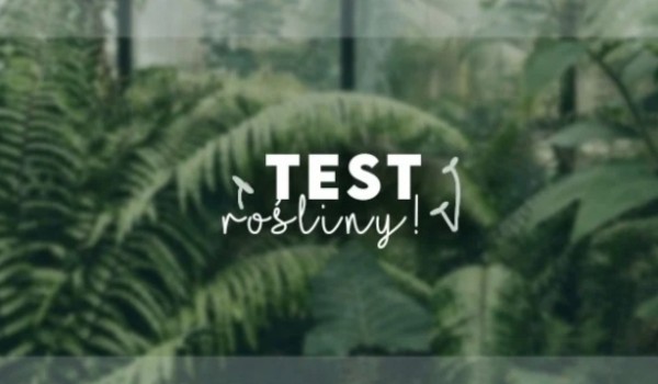 Test – Rośliny!