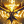 zapdos