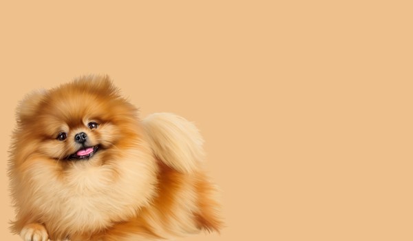 Wolontariuszka rozdział 9