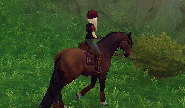 Jaki koń do ciebie pasuje