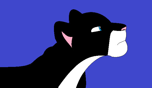 Inazuma eleven go cz.2